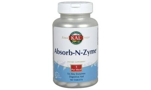 ABSORB -N- ZYME 90 TABLETAS