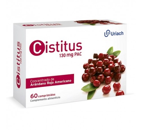 Cistitus 