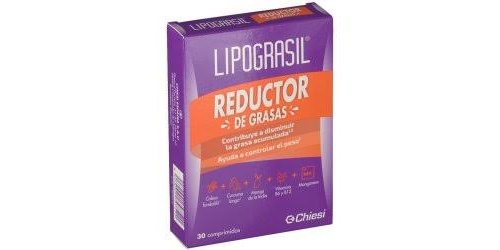 Lipograsil reductor de grasas (30 comp)